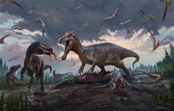 A snapshot of life 135 million years ago in Early Cretaceous England: A spinosaur (center) claims an ornithopod carcass, while smaller tyrannosaurs (left) and dromaeosaurids (bottom right) look on in frustration. Credit: Anthony Hutchings.