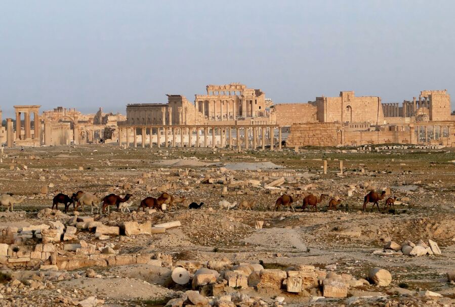 80% of Ancient Wonder Palmyra Destroyed In Wake of Assad Ouster