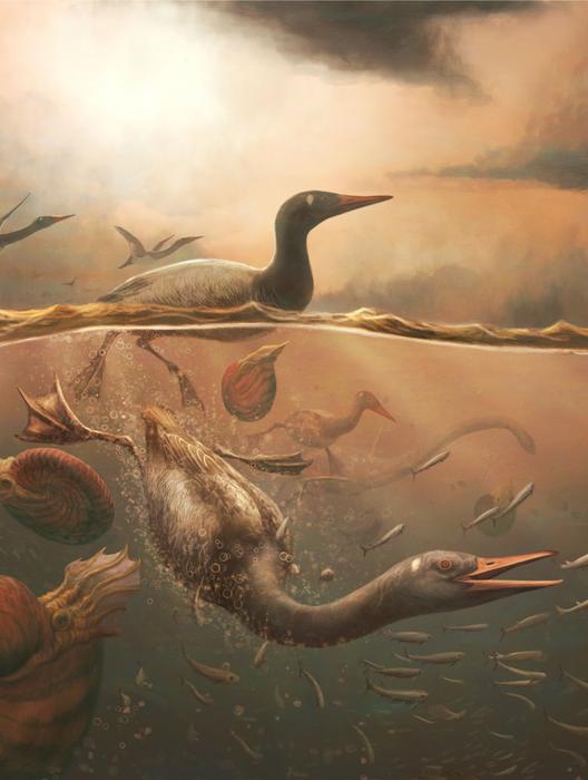 Ancient Antarctic Bird Had a Spear for a Beak, Revealing Lost World of Avian Diversity