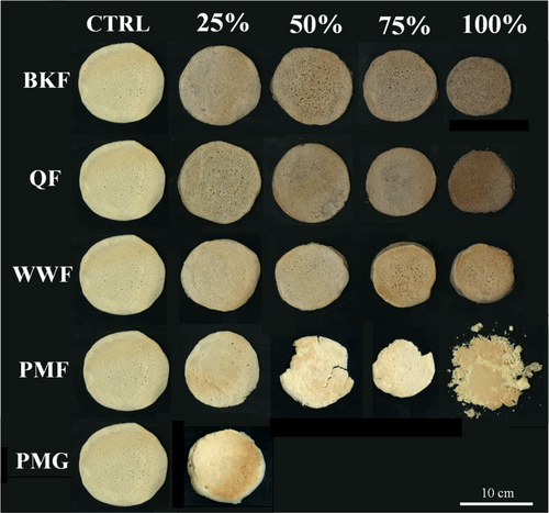 Pancakes Get a Nutritional Makeover