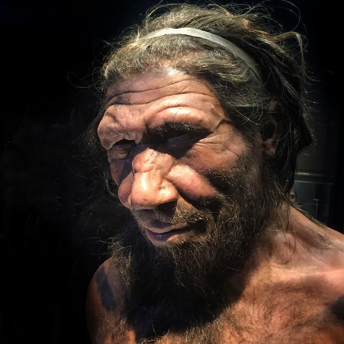 How Neanderthals Nearly Vanished 110,000 Years Ago