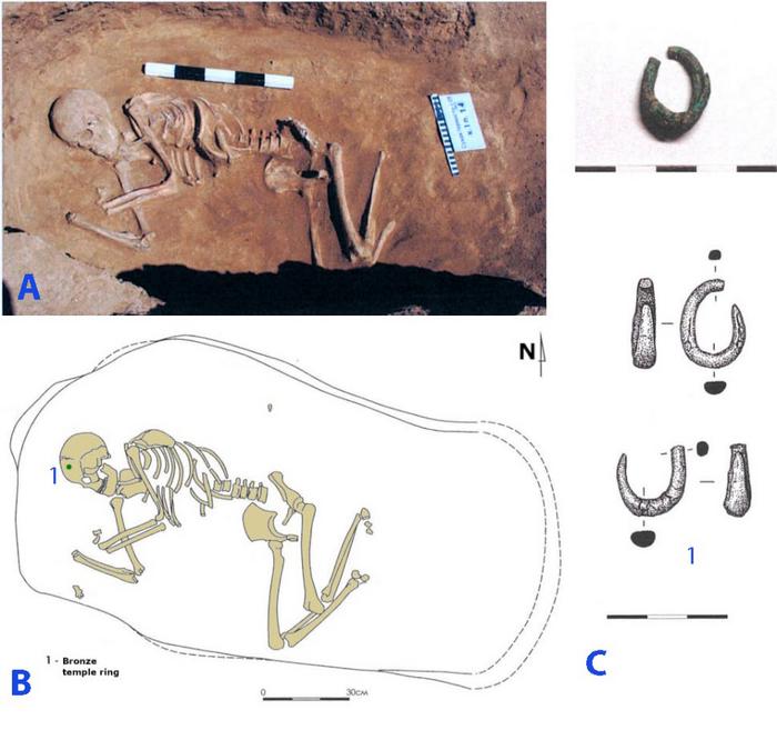 DNA Cracks the Code: Unraveling the Mystery of Indo-European Languages