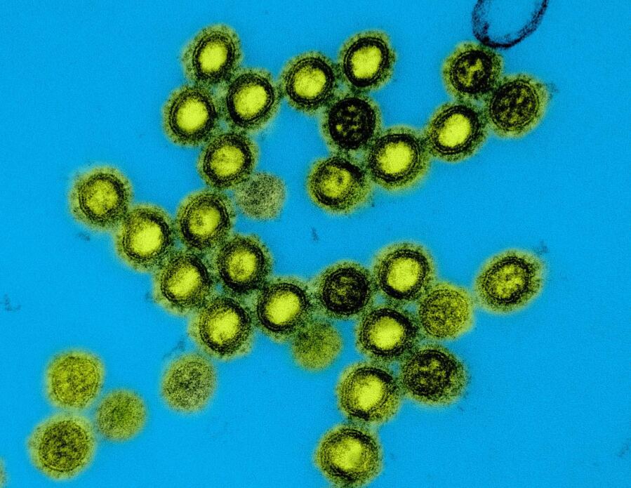 Government Unveils Next-Gen Virus Fighting Platform