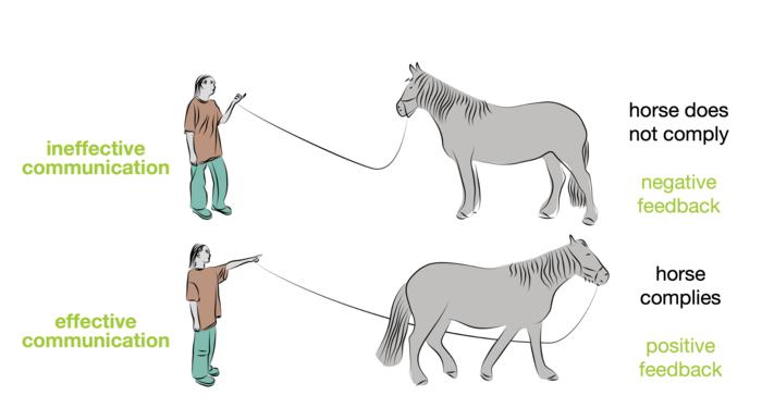 Therapy Horses Inspire Robots That Push Back When You’re Stressed