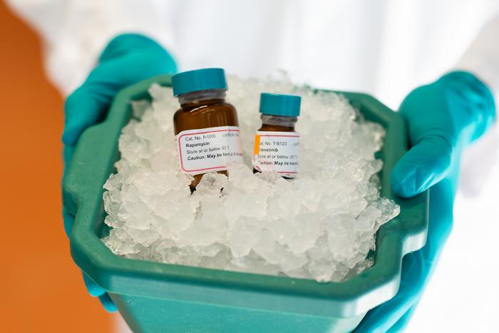 Treatment with the drugs rapamycin and trametinib together can prolong the life of mice.