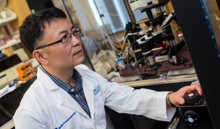 Research led by Ru-rong Ji, PhD, an anesthesiology and neurobiology professor at Duke University School of Medicine, shows the non-opioid compound SBI-810 relieves pain without side effects.