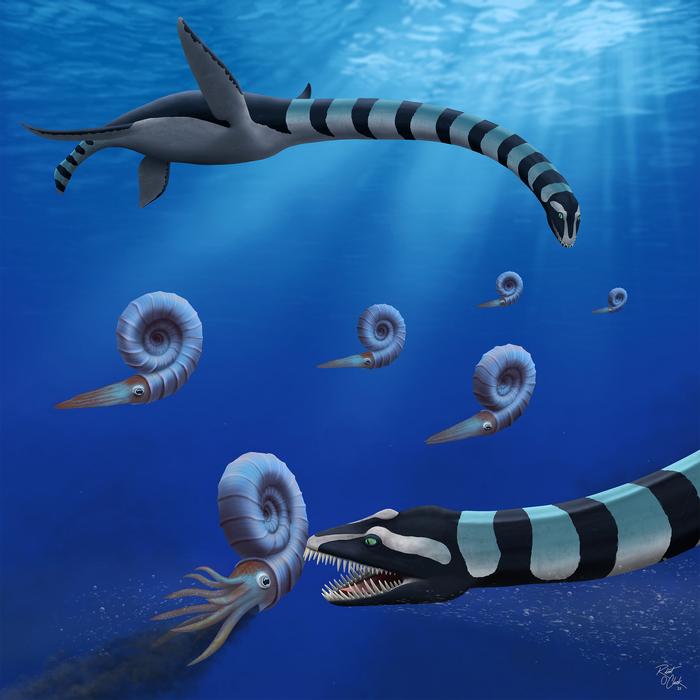 Ancient Sea Monster Mystery Solved After 37 Years