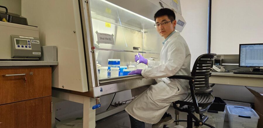 Pitt's Meng Wang, assistant professor of environmental and civil engineering in the Swanson School of Engineering