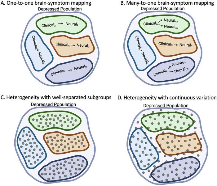 This image shows different ways scientists think about how depression symptoms relate to brain differences across people.