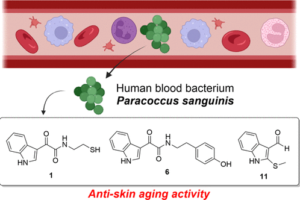 anti skin aging components