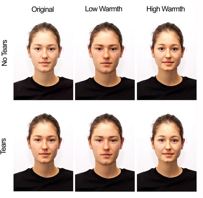 Overview of main manipulation of face warmth as based on walker et al. (2018) and tears digitally added.