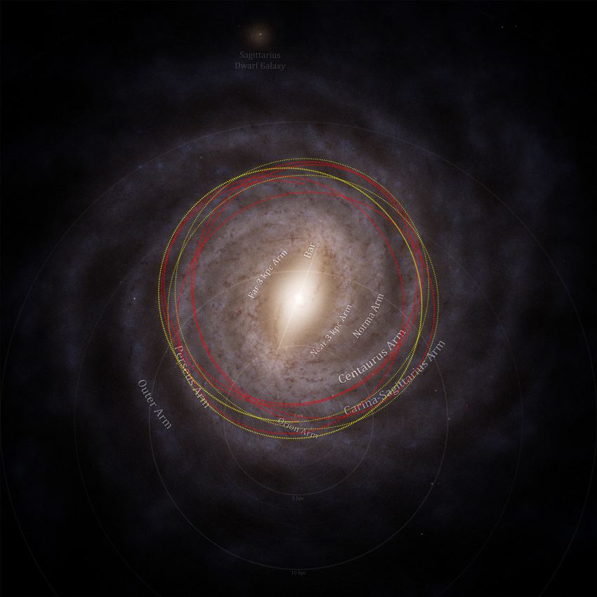 A top-down view of the Milky Way shows the Sun’s relatively tight orbit near the galaxy’s core (yellow dotted line) compared to the much wider, outer-reaching o