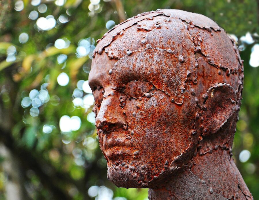 Biologically Young Brains Predict Long Life