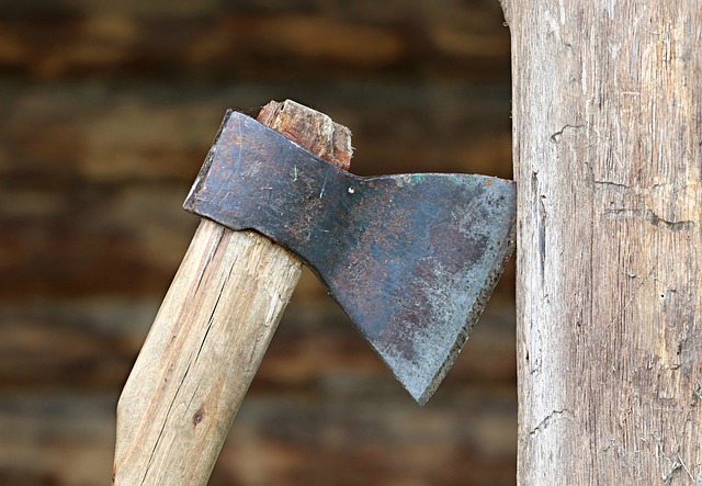 axe stuck in side of tree