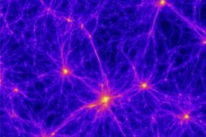Fluorescent microscopy image of branched F-actin network nucleate by Arp 2/3-VCA complex.