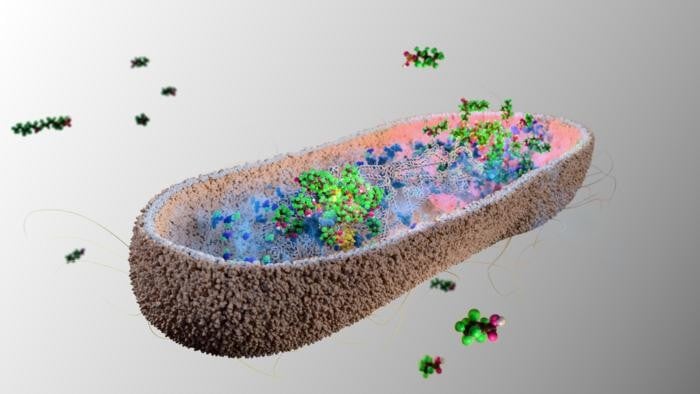 scienceblog.com image