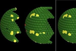 Computer-generated image showing how cells in the human colon renew and organize over time, based on mathematical modeling.