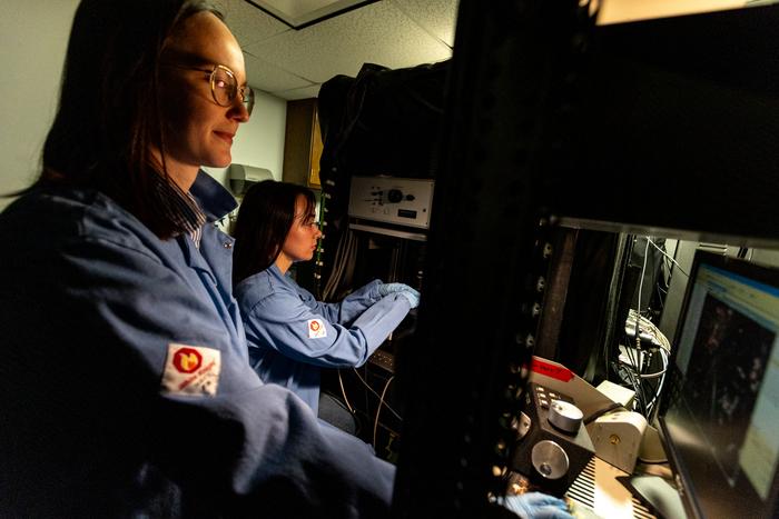 Study Links PFAS ‘Safe Substitute’ to Lasting Male Brain Effects