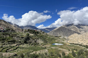 Farming landscape in the Nako village, Himachal Pradesh, India. In addition to green peas, farmers grow apple trees, apricot trees, potatoes, and other crops. | Harman Jaggi