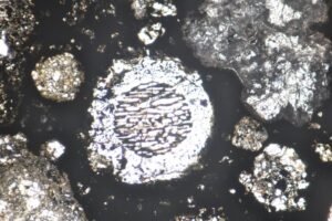 Round chondrules visible in a thin section of the Allende meteorite under microscopic view. Credit: Akira Miyake, Kyoto University