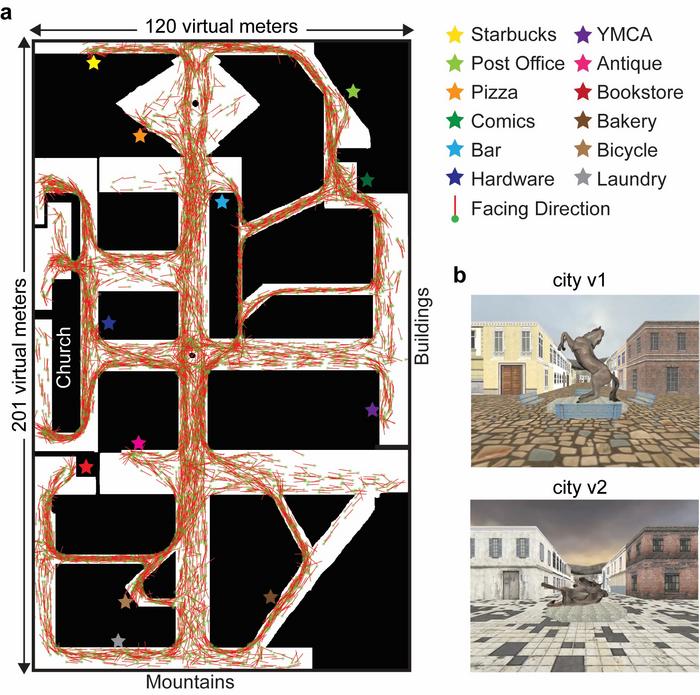 (a) Map of a virtual reality city with stars marking target locations.