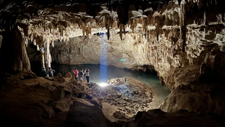 Cave Stalagmites Expose Thirteen Year Drought That Left the Maya Shook