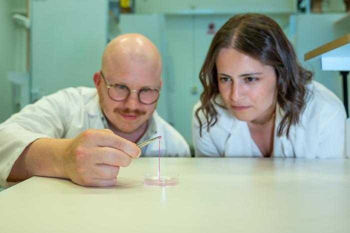 3D Printed "Skin in a Syringe" Offers Hope for Burn Recovery