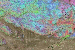 Fuels map of the 2025 Eaton Fire, as predicted by FuelVision.