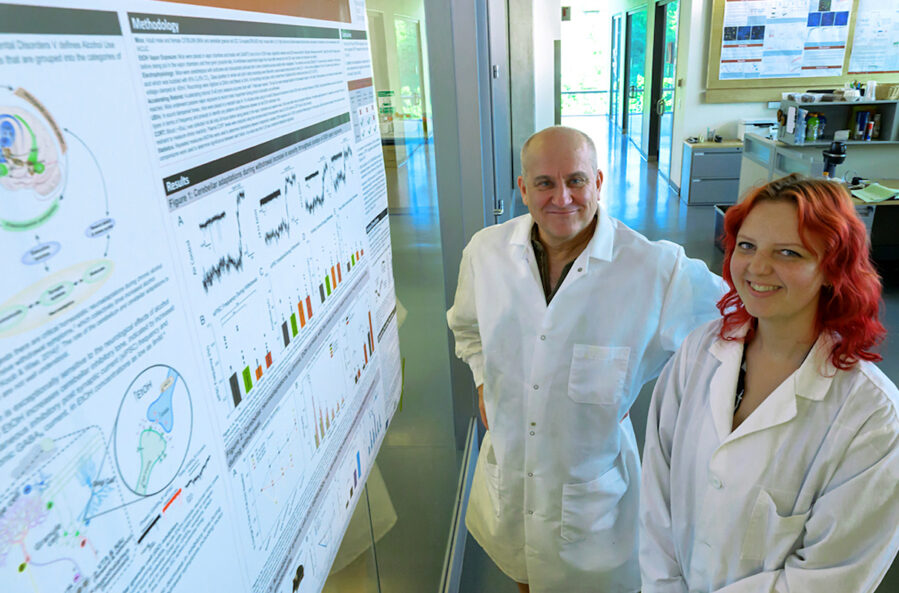 David Rossi, left, an associate professor in the Integrative Physiology and Neuroscience Department in WSU's College of Veterinary Medicine, poses for a photo w