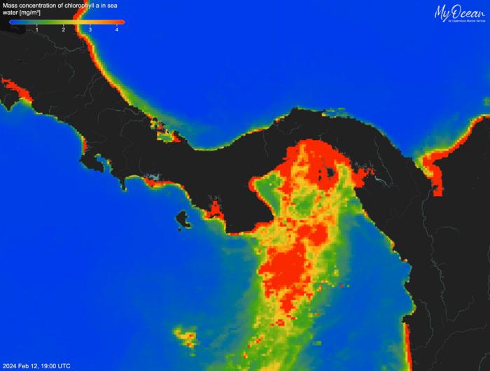 Chlorophyll concentrations in the oceans around Panama (blue = low, red = high) in February 2024, showing peak productivity in the Gulf of Panama during a perio