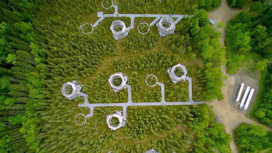 Cornell researchers analyzed data from 10, yurt-like test chambers in a natural boreal spruce bog in northern Minnesota.