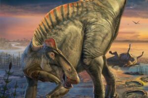 Scene painting some 66 million years ago showing the duck-billed dinosaur as it appeared in life based on mummies discovered in east-central Wyoming which document its scaly skin and hooves. It had a fleshy crest over neck and trunk, a fleshy spike row over hips and tail and hooves capping the toes of the hind feet. (artwork by Dani Navarro)