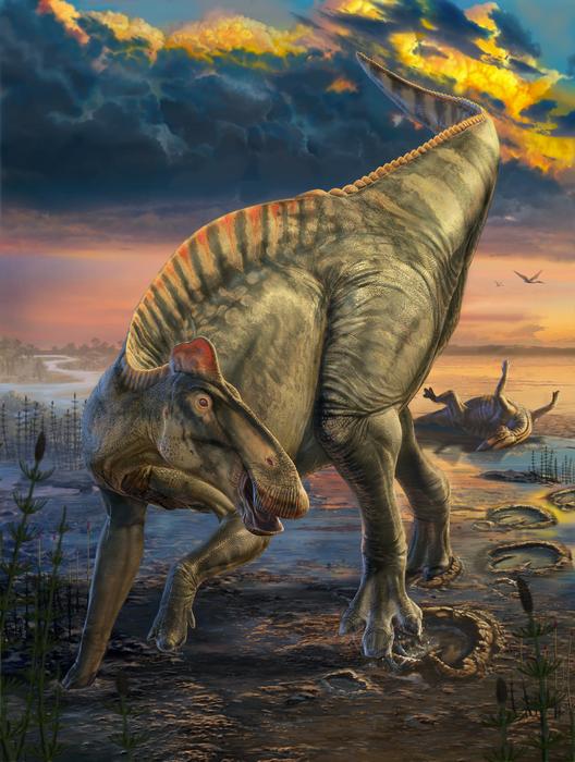 Clay Mask Reveals What Duck-Billed Dinosaurs Really Looked Like