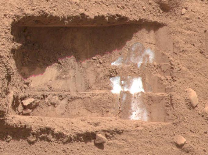 Mars’ Ice Could Hide Living Microbes for 50 Million Years