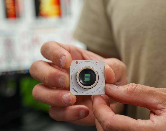 Sharf holds a CMOS-based microelectrode array chip used to precisely locate the electrical activity of single neurons within millimeter-sized organoid tissue.