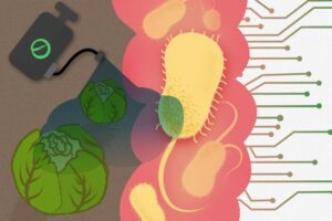 gut microbe illustration