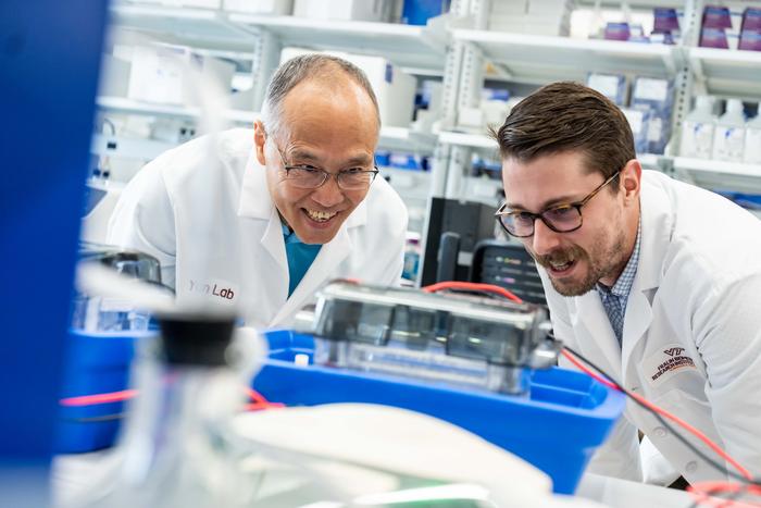 Research conducted by Fralin Biomedical Research at Virginia Tech Professor Zhen Yan (left), Ryan Montalvo, and others compared the effects of endurance and res