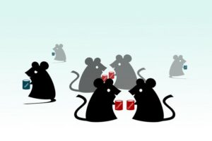 Supplementation of nutrient cocktails containing zinc, branched-chain amino acids and serine improves social interaction in three different mouse genetic models of autism.