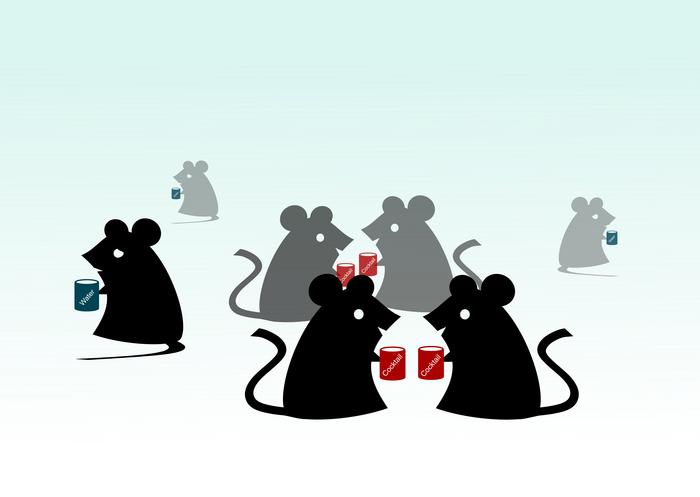 Supplementation of nutrient cocktails containing zinc, branched-chain amino acids and serine improves social interaction in three different mouse genetic models of autism.