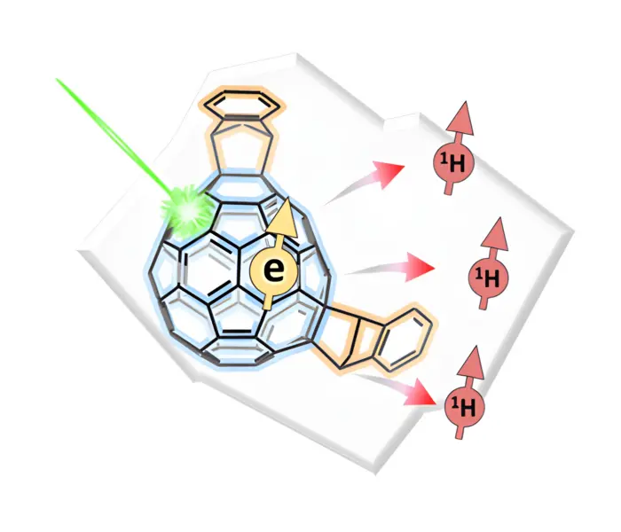 A green laser shines on a modified fullerene molecule, shown in blue with orange parts. The light causes the electrons inside the molecule, shown in yellow, to line up in a particular direction. These aligned electrons then cause nearby protons, shown in red, to align as well. This chain reaction helps MRI sensors detect signals that were previously too weak to see. ©2025 Yanai et al. CC-BY-ND