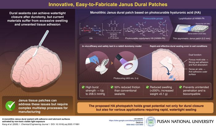 Light-Activated Patch Seals Brain Surgery Wounds in Seconds