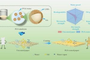 lingin recyclable paper product infographic
