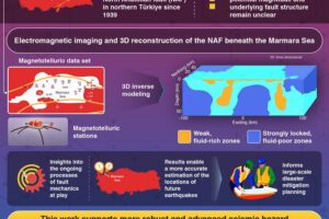 marmara infographic