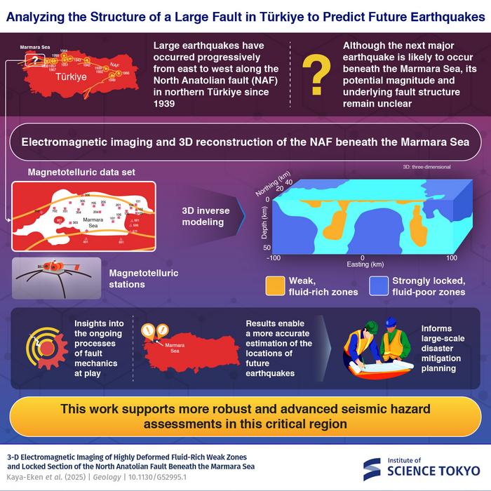 marmara infographic