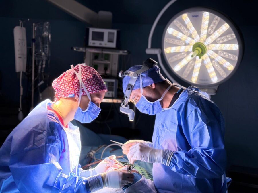 When Your Brain Stops But You Don’t: The Near-Death Experience Puzzle