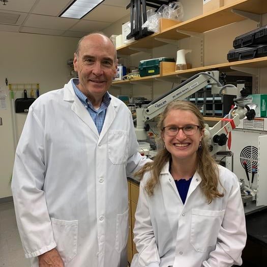 Brainwave Signature Shared by Humans and Mice Could Transform Fragile X Treatment