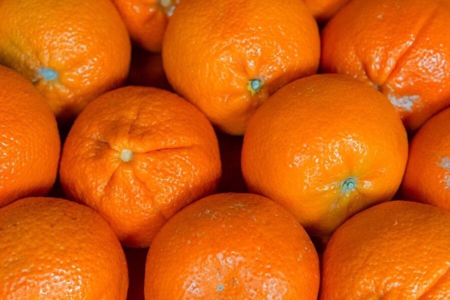 Orange Peels Clean Up One of Industry’s Messiest Problems