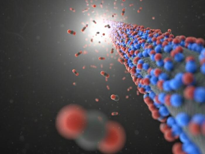 This image created using Gemini Pro, depicts an activated carbon fiber functionalized with amine groups (–NH2) at adjacent positions.