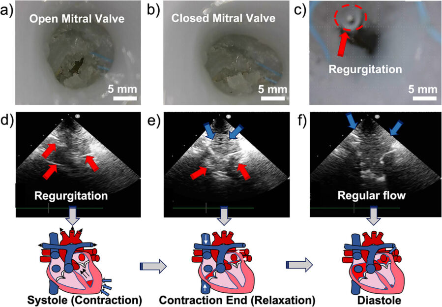 Print, Pump, Practice: 3D-Printed Heart That Bleeds Ink