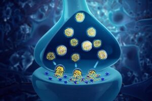 Illustration of neurotransmitters released from vesicles into the synaptic space. The reviewed study highlights that, beyond neurons, immune cells such as T cells, B cells, and macrophages can also produce and respond to these signaling molecules. By engaging pathways like cAMP–PKA, MAPK, and JAK–STAT, these immune-derived neurotransmitters play a key role in regulating inflammation, cell function, and disease processes.